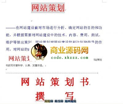 一个经典网站策划书撰写方法.rar