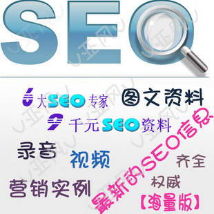 SEO̳,SEOŻƵ,SEOѧϰ,SEO,SEOϡ桿1