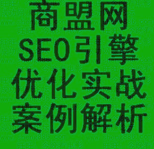 -SEOʵսͨSEOԪİ)0
