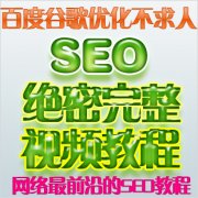 seo教程 seo优化教程 seo实战密码 百度seo 淘宝站外推广视频0