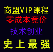 2013VIPγ̡ɱۼҵοװ0