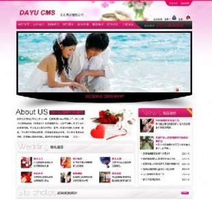 칫˾ҵվԴ,߻˾,DayuCms V1.51