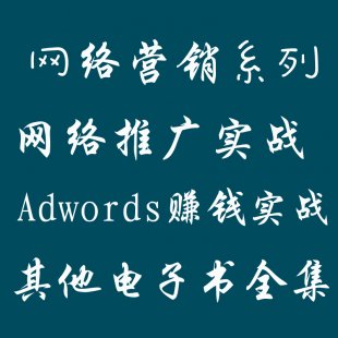ͨȫ seo̳ Ӫʵս google adwordsϵеȺϼ0