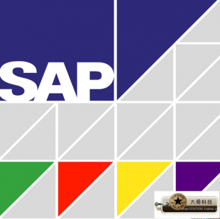 SAP FICO/BW/MM/SD/HR/ABAP°PA̲ģģѵ̳̣1