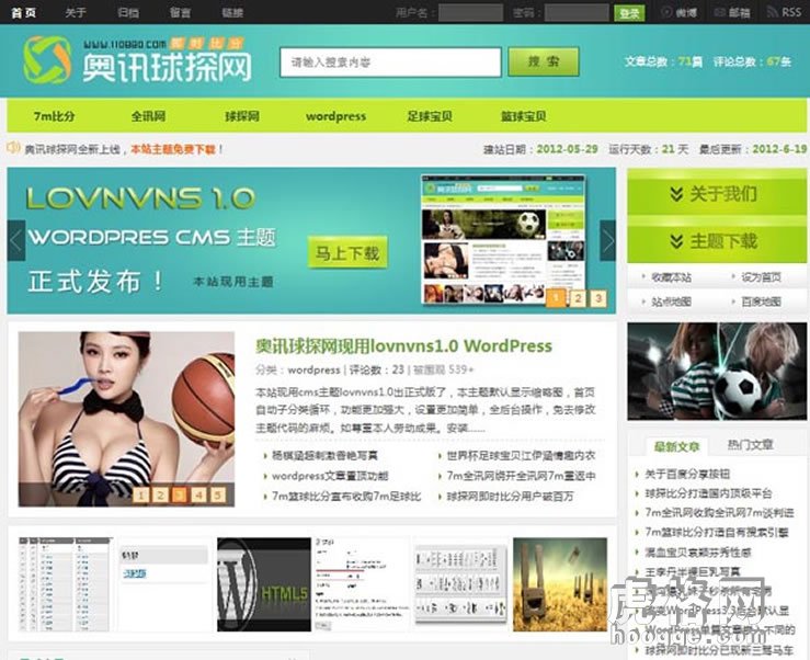 wordpress cms lovnvnsģ WPģ Ʒģ