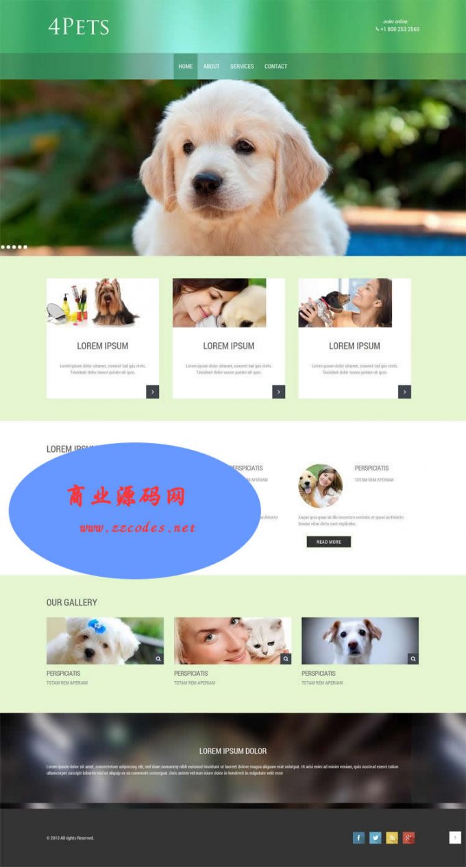 Html5网页模板 div+css3宠物网站模板 手机电脑站自适应 静态模板