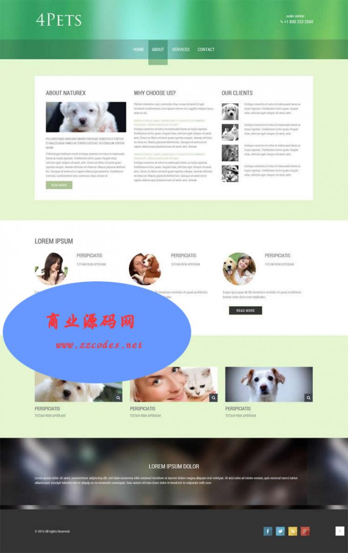 Html5网页模板 div+css3宠物网站模板 手机电脑站自适应 静态模板