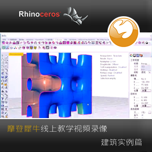 Rhino 5.0ϬţƵ̳(ϬţֹTSֹʵƪ)YY-00101