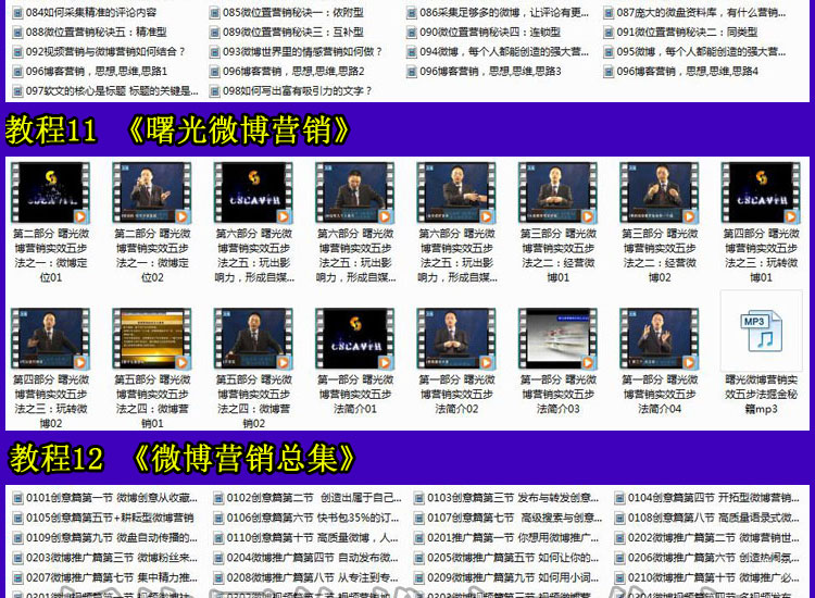 2014微营销实战兵法技巧大全集教程 微博微信网络推广引流视频资