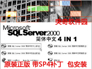 SQL Server 2000 SP4 简体中文 电脑软件工具 个人版/企业版