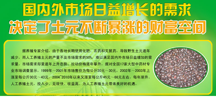 土元养殖技术视频 土鳖养殖视频 视频加文字全面讲解养殖过程