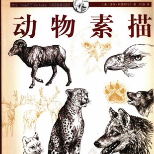 趯ʽ̳ ṹ滭 λţè̳1