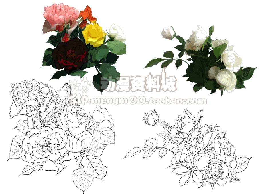 植物花卉草树木线稿+上色素材 植物插画绘画勾线手稿线描稿