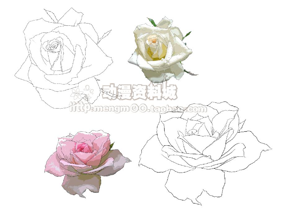 植物花卉草树木线稿+上色素材 植物插画绘画勾线手稿线描稿
