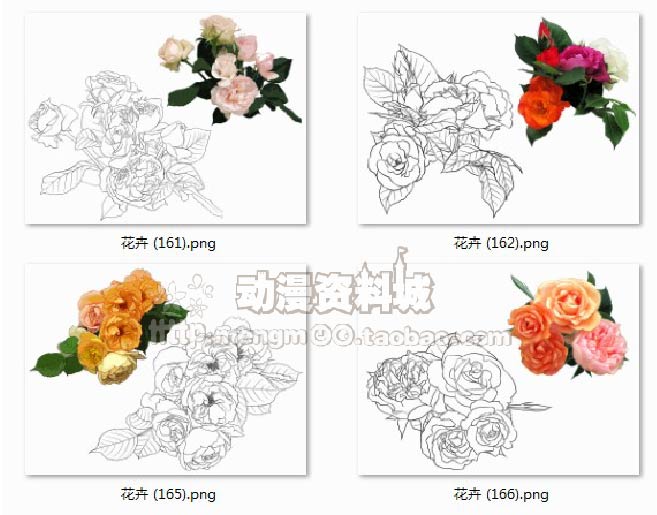 植物花卉草树木线稿+上色素材 植物插画绘画勾线手稿线描稿