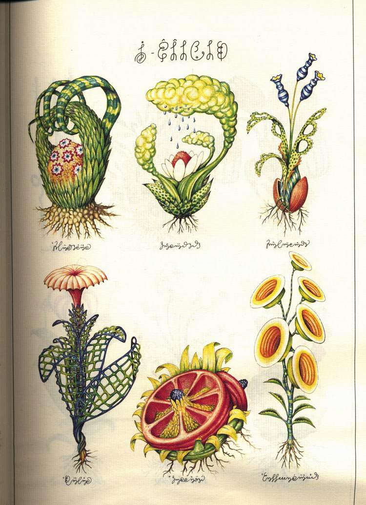 ֻ廭 ᳭ Codex Seraphinianus ز