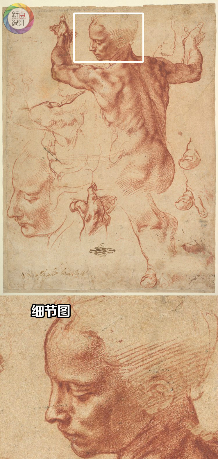׿ʻ޸ͻ ڻƷͼƬ ġ΢װλ滭ز