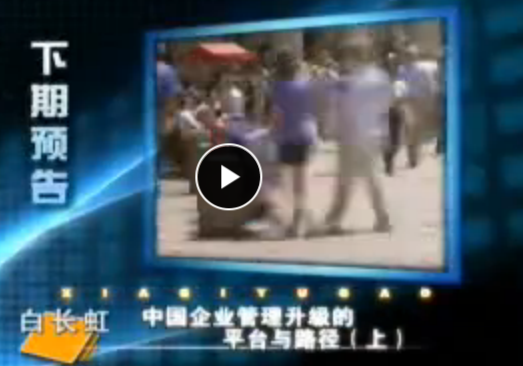 白长虹 中国企业管理升级的平台与路径