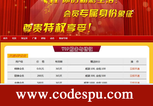 VIPû鹺 ҵ2.0.4 ֧ Discuz X3.21