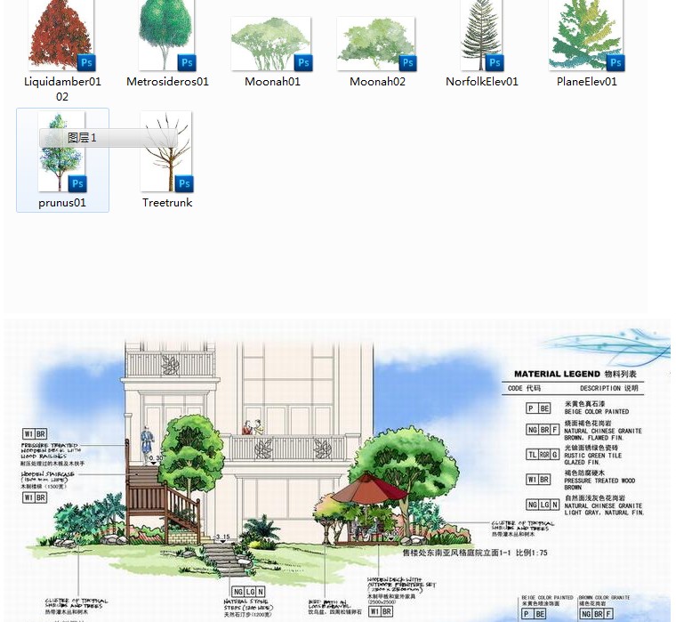 psd园林景观素材 立面手绘树贴图 断面贴图 综合贴图PS后期设计