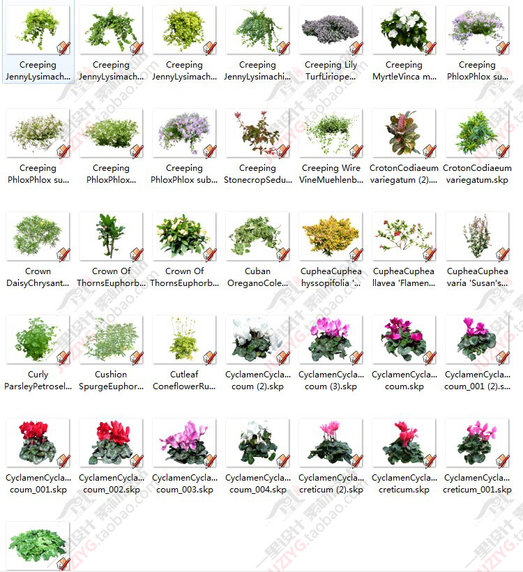 草图大师SU园林景观人植物手绘平面sketchup组件/模型库2D/3D素材
