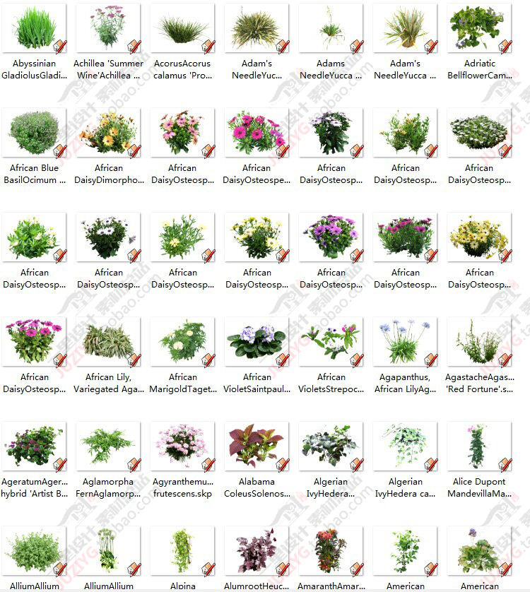 草图大师SU园林景观人植物手绘平面sketchup组件/模型库2D/3D素材