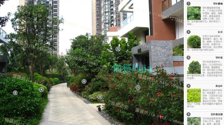 精选150张植物配置分析实景参考图 园林景观植物解析设计素材