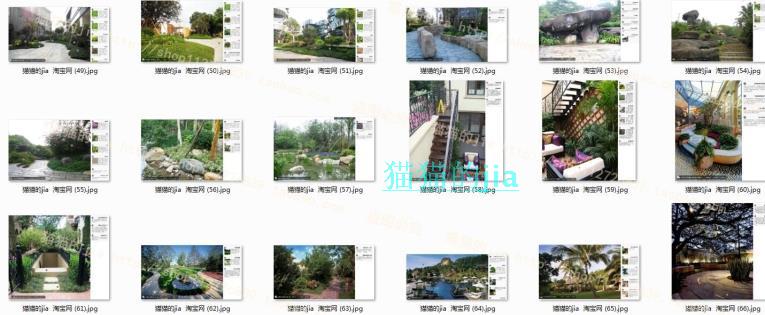 精选150张植物配置分析实景参考图 园林景观植物解析设计素材