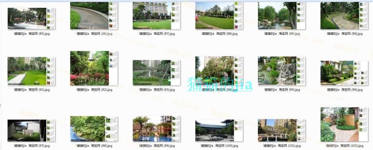 精选150张植物配置分析实景参考图 园林景观植物解析设计素材