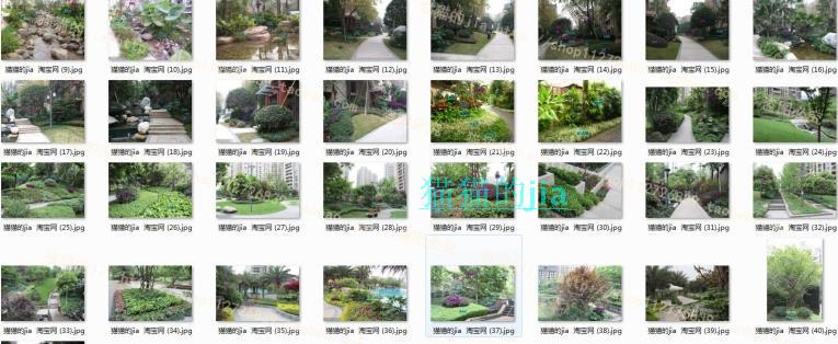 精选150张植物配置分析实景参考图 园林景观植物解析设计素材