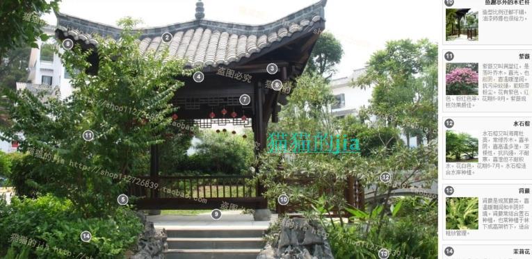 精选150张植物配置分析实景参考图 园林景观植物解析设计素材