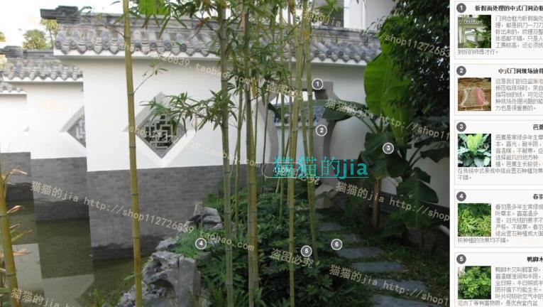 精选150张植物配置分析实景参考图 园林景观植物解析设计素材