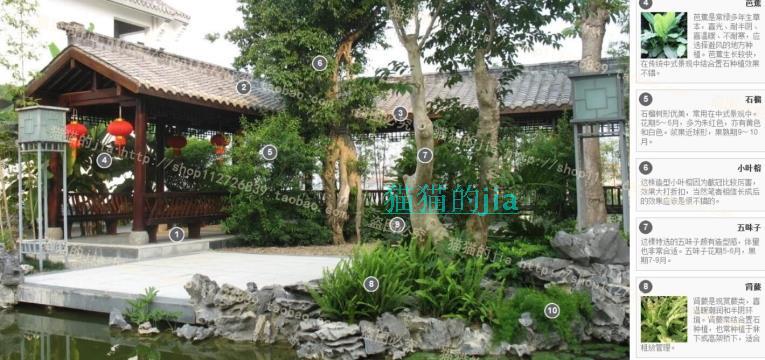 精选150张植物配置分析实景参考图 园林景观植物解析设计素材