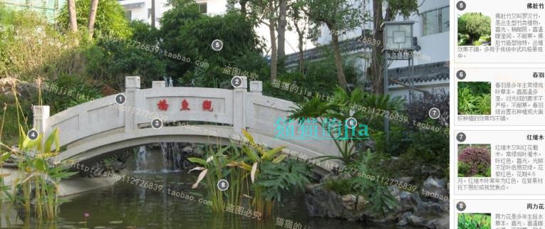 精选150张植物配置分析实景参考图 园林景观植物解析设计素材