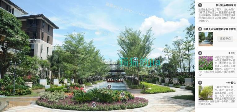 精选150张植物配置分析实景参考图 园林景观植物解析设计素材