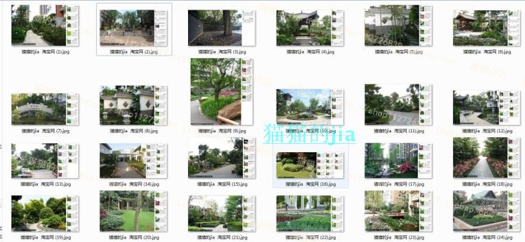 精选150张植物配置分析实景参考图 园林景观植物解析设计素材