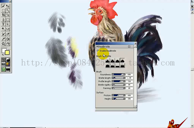 Corel Painter Ľ̳̲廭װCGŵͨ