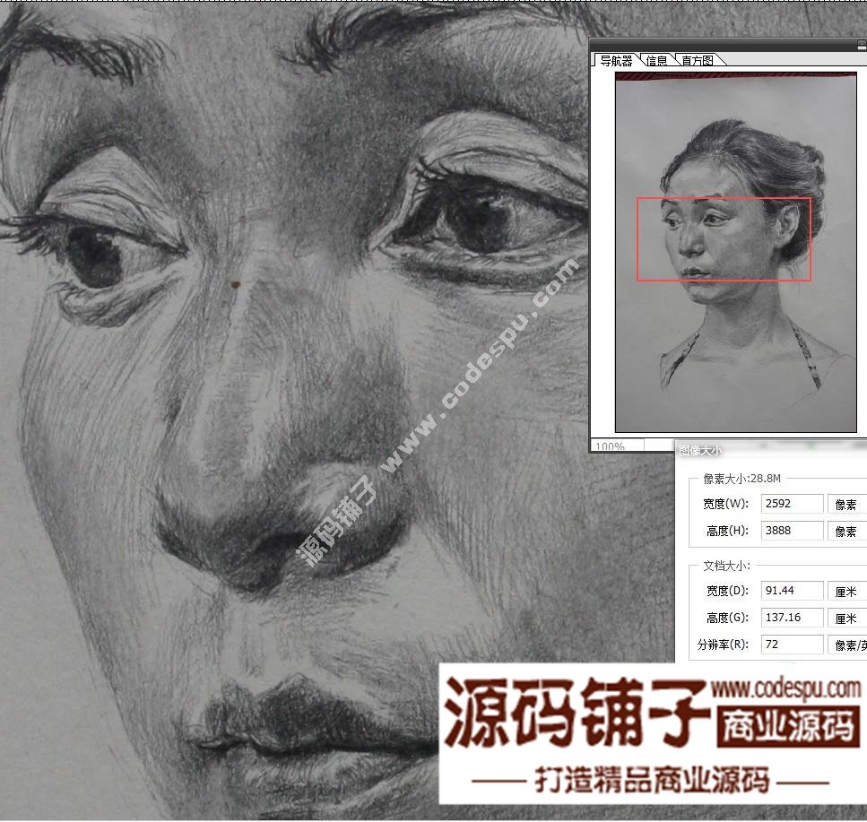 素描头像临摹画室收集经典 朱传奇素描作品高清大图片57幅