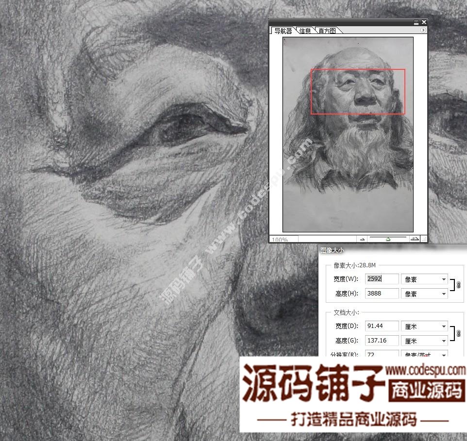 素描头像临摹画室收集经典 朱传奇素描作品高清大图片57幅