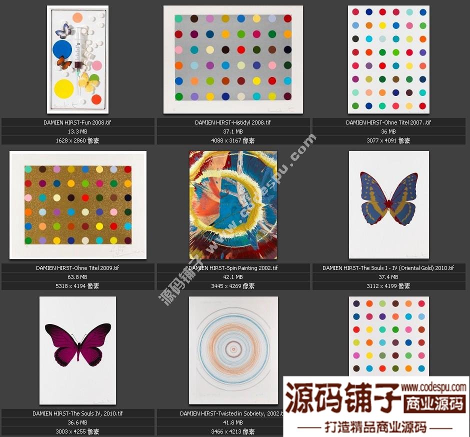 独家素材 欧美顶尖艺术抽象绘画最全高清图集 微喷 装饰画专用