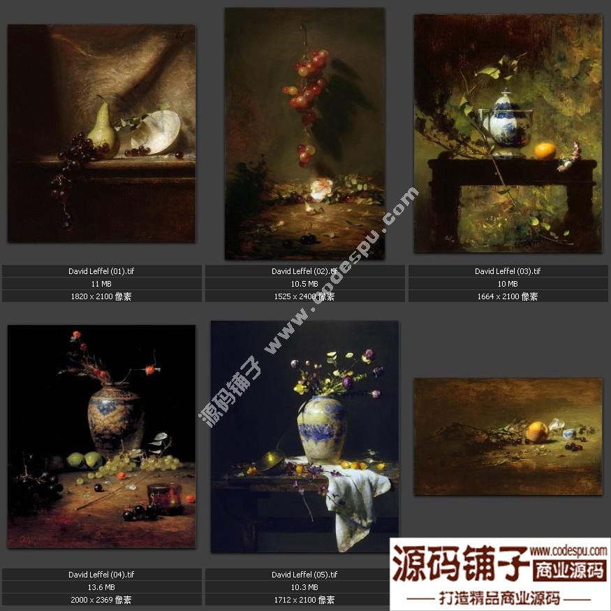 戴维.莱费尔 DAVID LEFFEL 油画人物 静物作品高清电子图片19幅