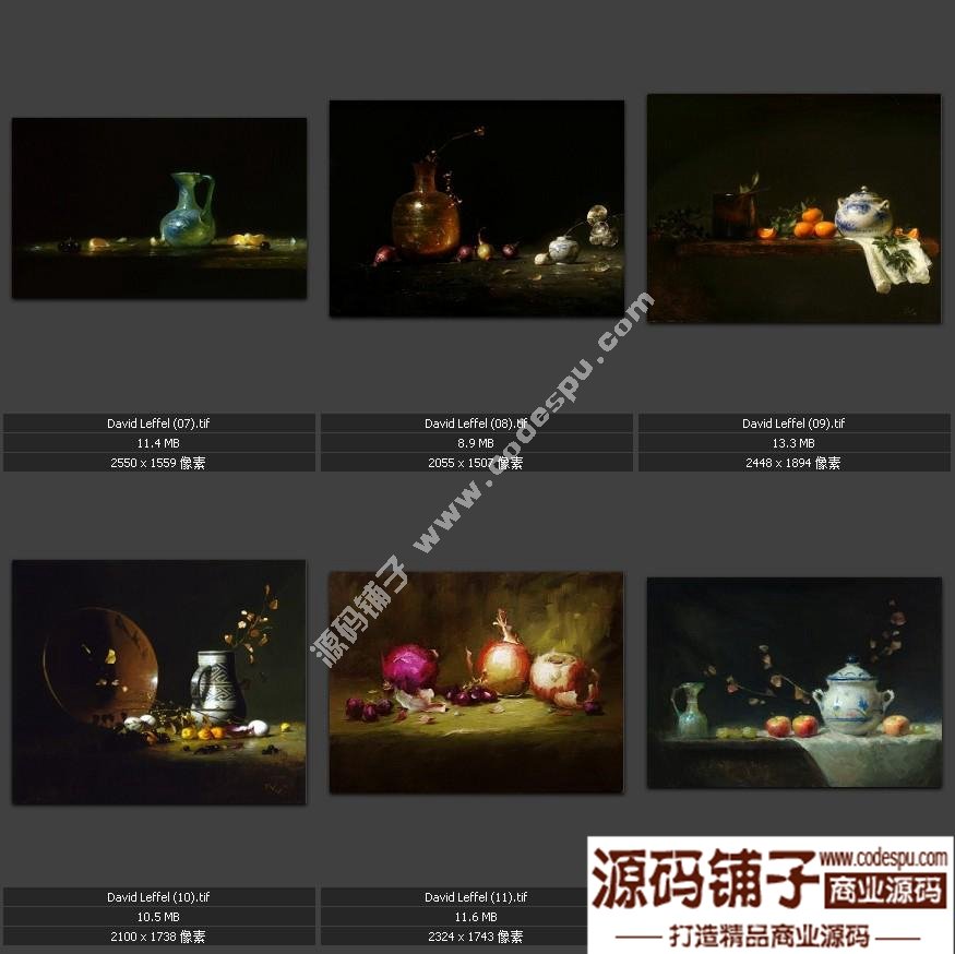 戴维.莱费尔 DAVID LEFFEL 油画人物 静物作品高清电子图片19幅