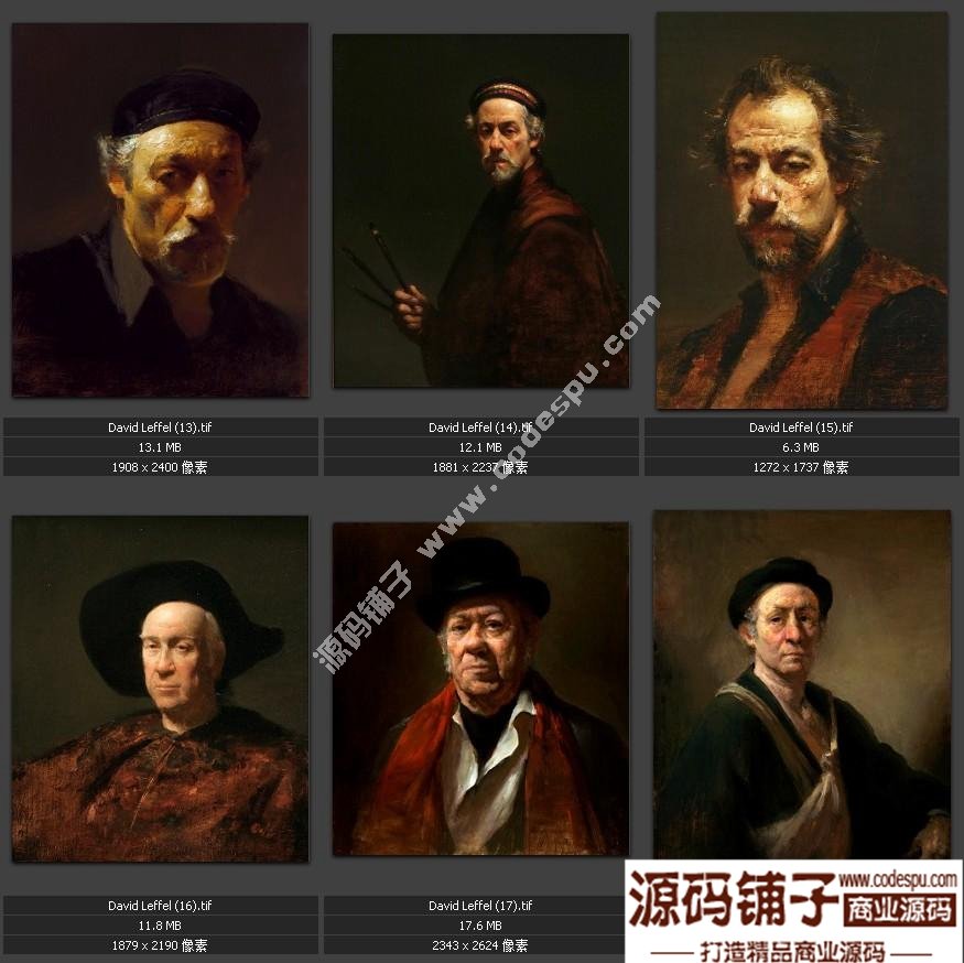 戴维.莱费尔 DAVID LEFFEL 油画人物 静物作品高清电子图片19幅