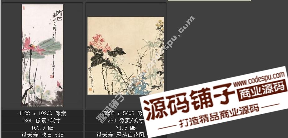 高清国画 潘天寿作品选 素材 图片 名画 水墨设计素材8幅