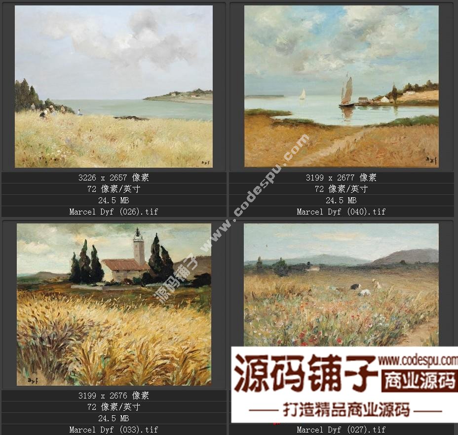 法国后印象派画家★马塞尔.德福〓油画作品高清图片115幅