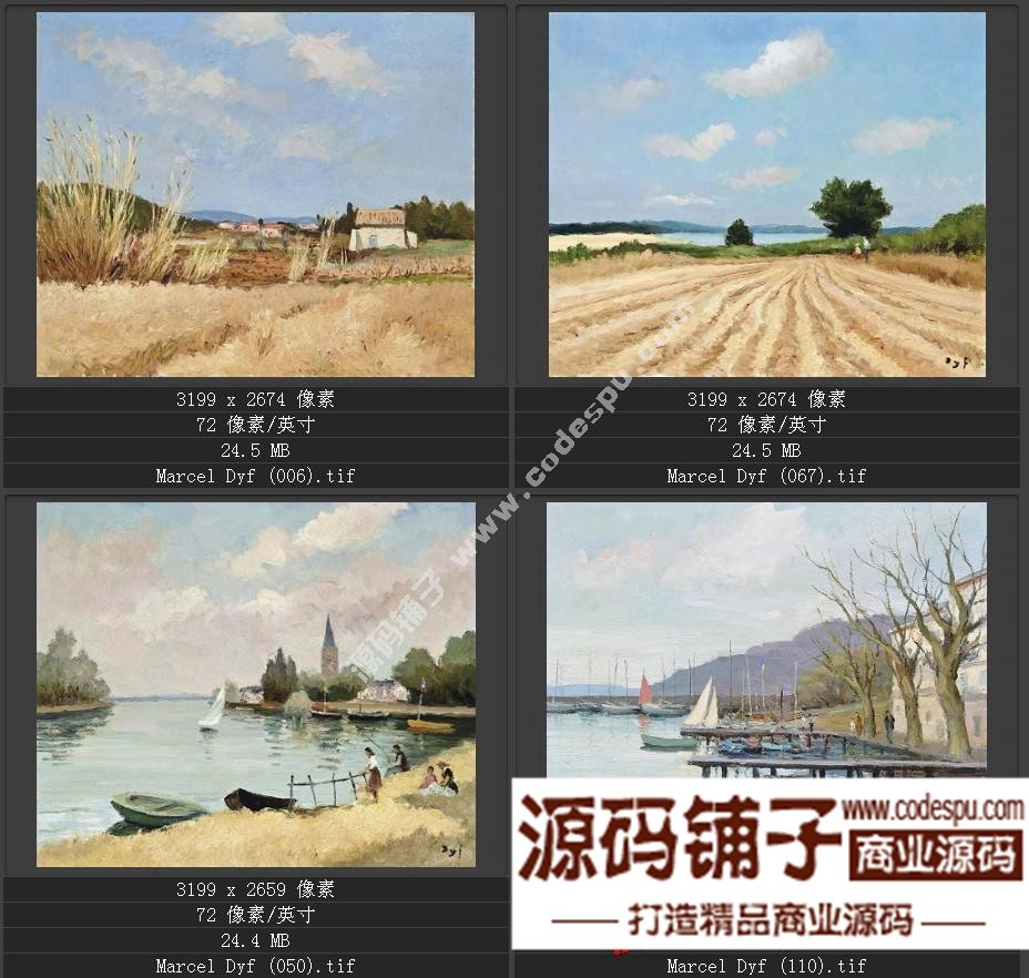 法国后印象派画家★马塞尔.德福〓油画作品高清图片115幅