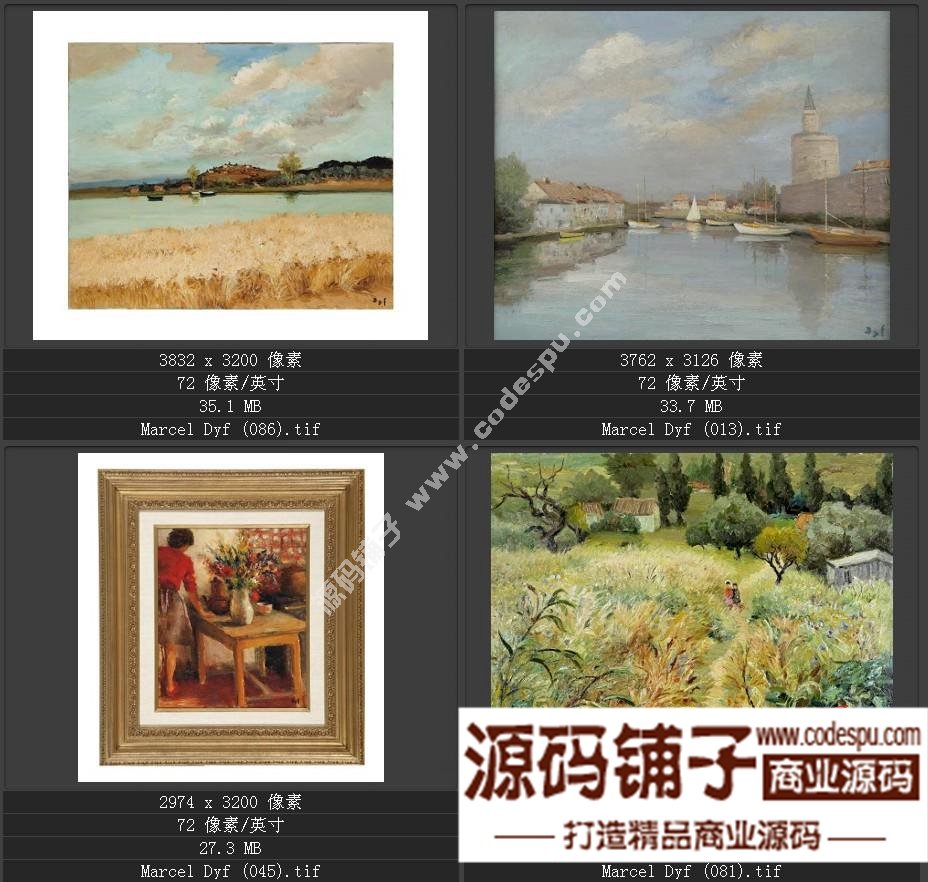 法国后印象派画家★马塞尔.德福〓油画作品高清图片115幅