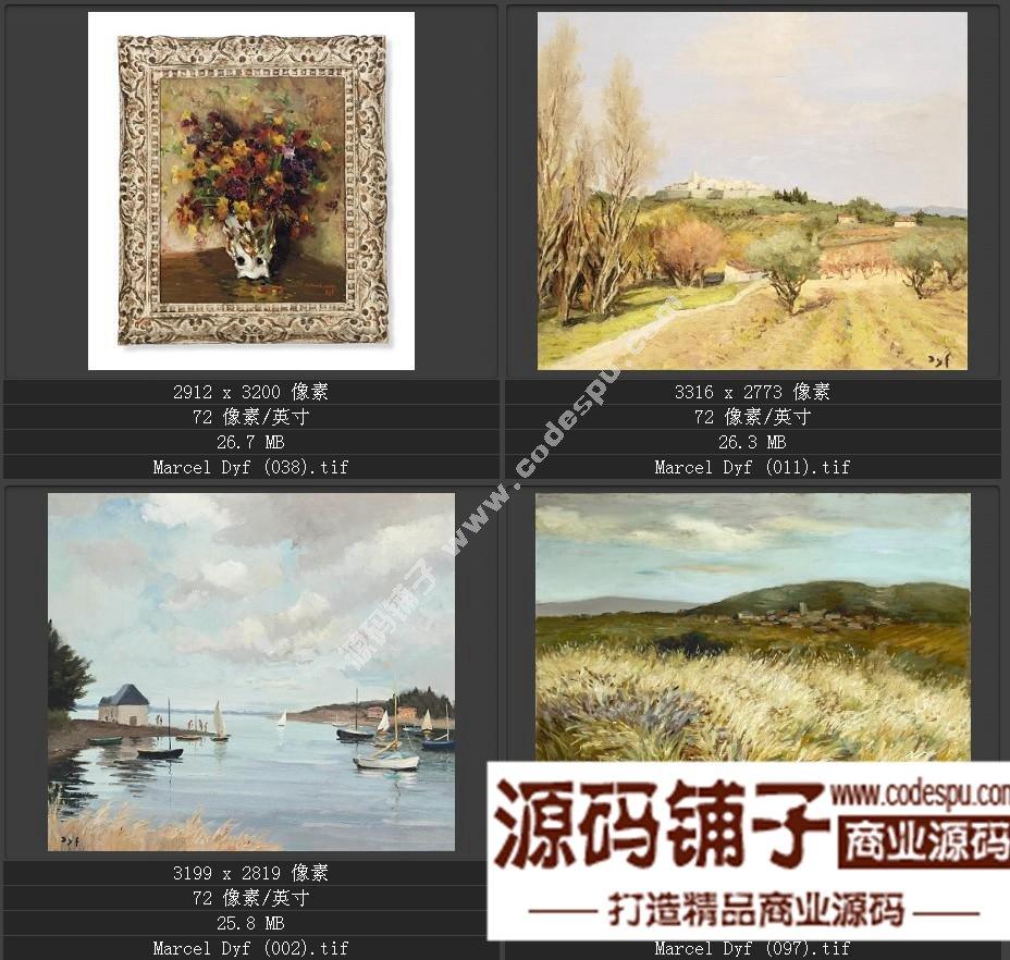 法国后印象派画家★马塞尔.德福〓油画作品高清图片115幅