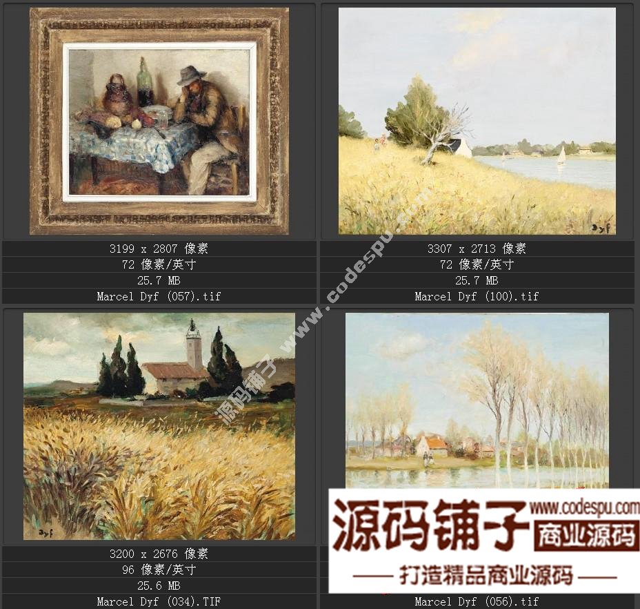 法国后印象派画家★马塞尔.德福〓油画作品高清图片115幅