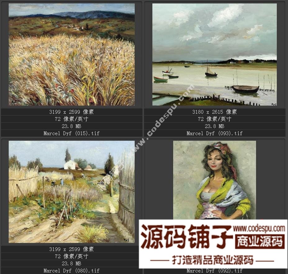 法国后印象派画家★马塞尔.德福〓油画作品高清图片115幅